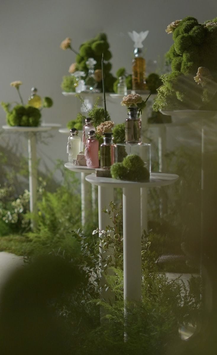 Perfumes at the event — an olfactory memory that remains in the minds of the guests
