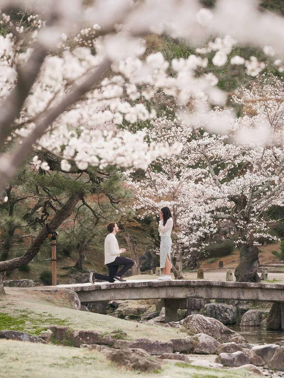 Complete Guide to Proposing — Find Out What She Wants and Plan the Perfect Moment